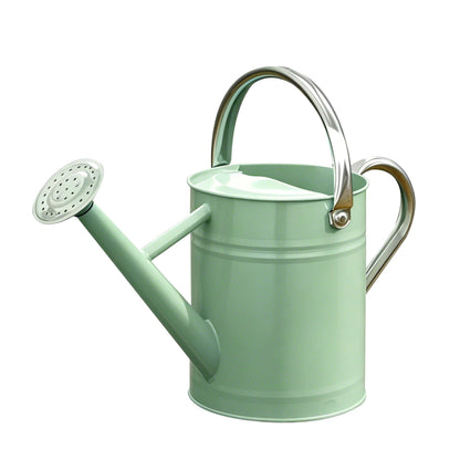 Metal Watering Can for Outdoor Plants, Watering Can Decor 1 Gallon (GB)