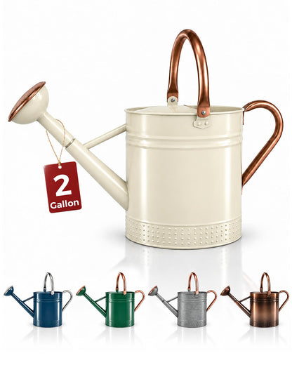 Bamworld Outdoor Watering Can Dual Handle Removable Nozzle 2 Gallon Silver