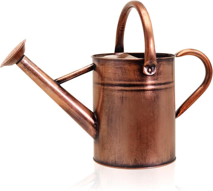 Metal Watering Can with Removable Spout, Galvanized Watering Can, Perfect for Indoor Use and for Outdoor Use (1 Gallaon, Metal)