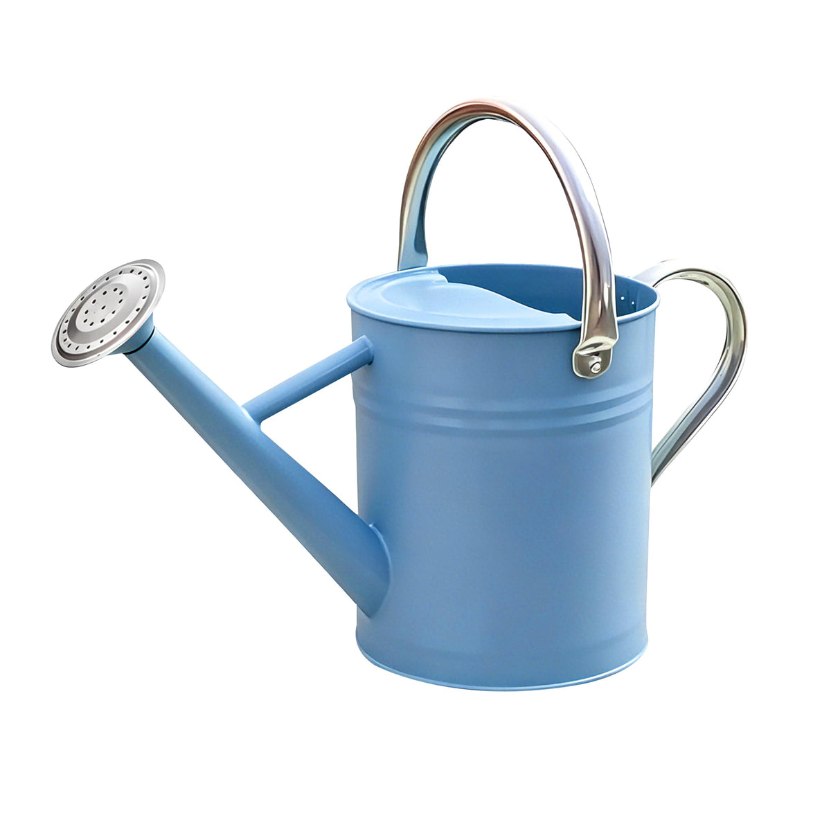 Metal Watering Can for Outdoor Plants, Watering Can Decor 1 Gallon (Green)