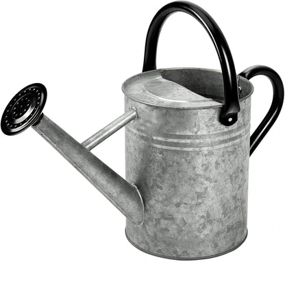 Metal Watering Can 1 Gallon for Outdoor Garden Plants, Green