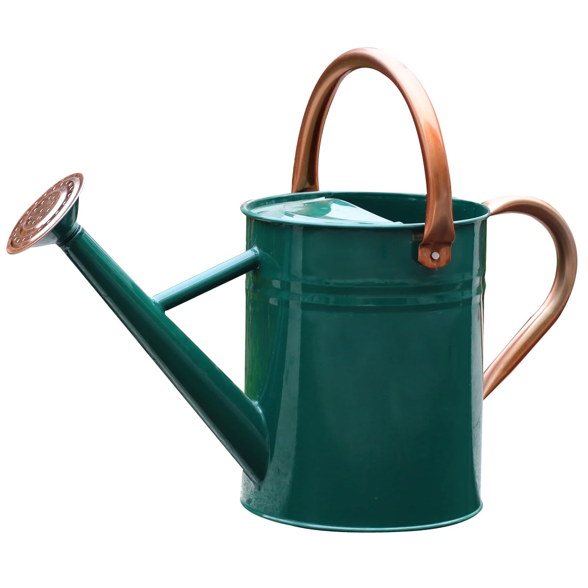 Metal Watering Can for Outdoor Plants, Watering Can Decor 1 Gallon (Green)