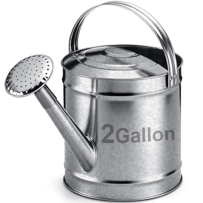 Geetery 1 Gallon Galvanized Metal Watering Can, Removable Spout, Silver