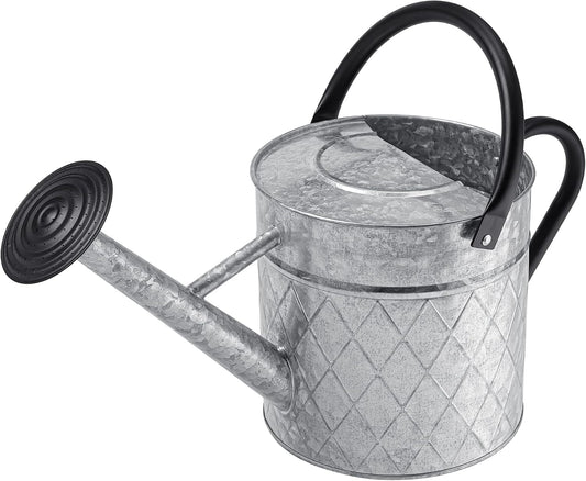 1.75 Gallon Outdoor Galvanized Metal Watering Can for Garden Plants, Vintage Zinc Watering Can with Removable Spray Spout, Ideal for Outdoor Use (Silver)