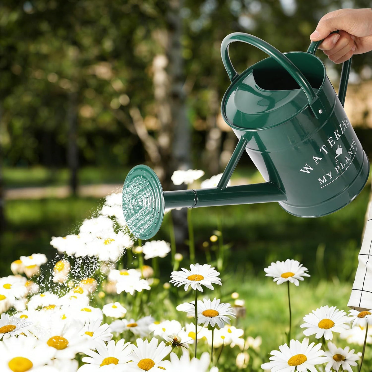Garutom Galvanized Watering Can for Outdoor Indoor Plants, 1 Gallon Decorative Countryside Water Can with Removable Spout, Metal Watering Can for Indoor Plants and Garden Flower (Green)