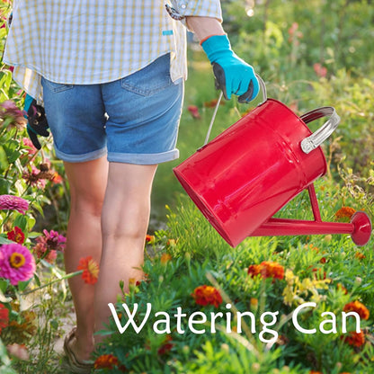 Metal Watering Can 1 Gallon for Indoor and Outdoor Plants Red
