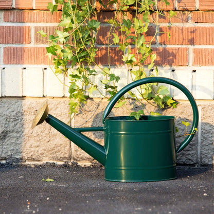 1.3 Gallon Jade Green Metal Watering Can, Removable Spout