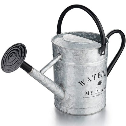 Garutom Galvanized Watering Can for Outdoor Indoor Plants, 1 Gallon Decorative Countryside Water Can with Removable Spout, Metal Watering Can for Indoor Plants and Garden Flower (Green)