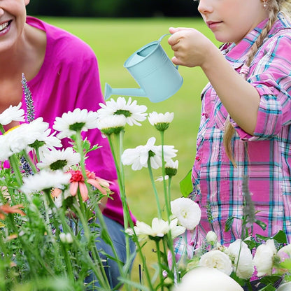 Small Metal Watering Can Set, Pink, 1.2L and 0.23L Garden Cans with Long Spout, Indoor Outdoor Plant Care (Green Blue)