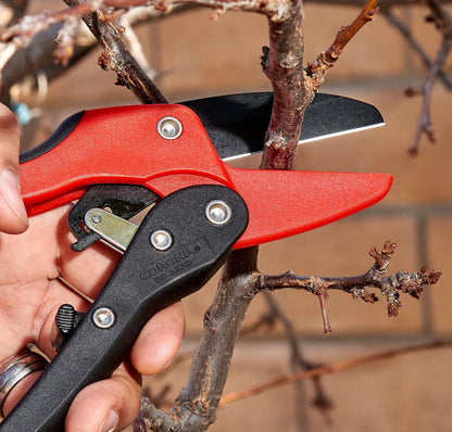 Corona Tools Ratchet Hand Pruner – 3/4-Inch Cut Capacity Garden Pruning Shears for Stems & Branches, Heavy-Duty Ratcheting Hand Pruners with Comfortable Grip