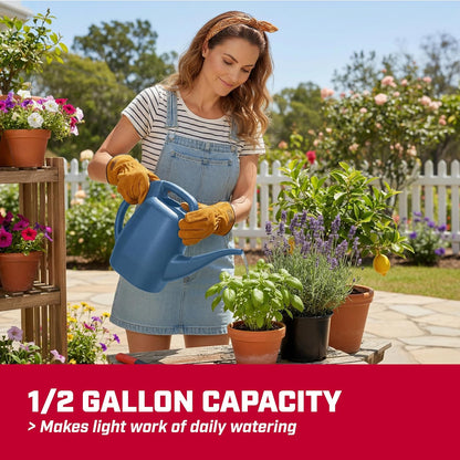 CHAPIN 48006 1/2-Gallon Watering Can, Lightweight for Easy Watering