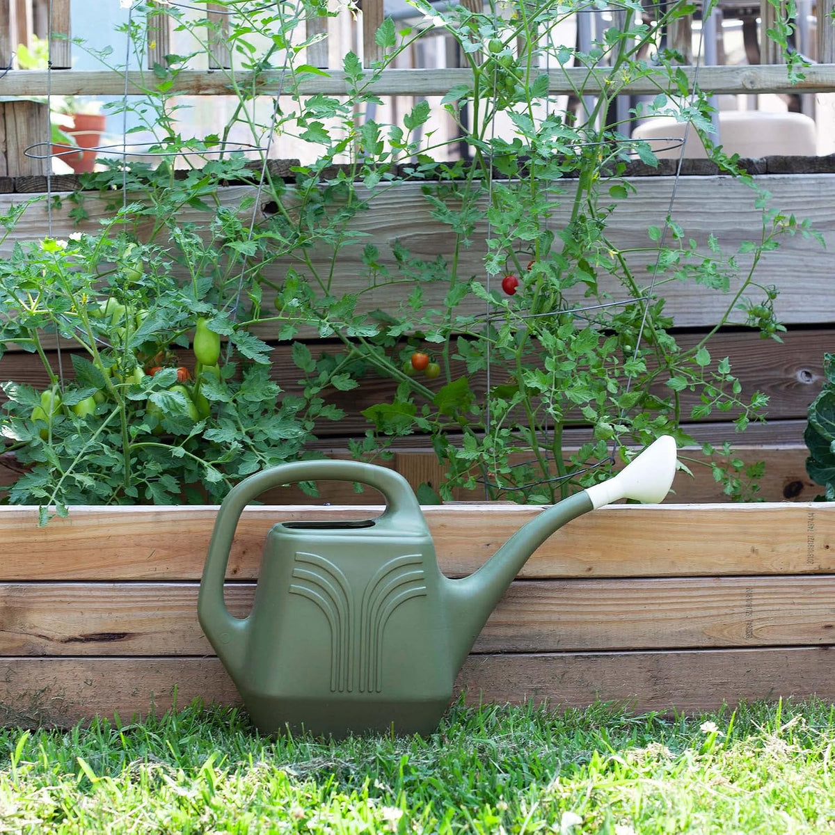 Bloem Watering Can (JW82PROMO-42), Living Green, 2 Gallon (256 Fl Oz)